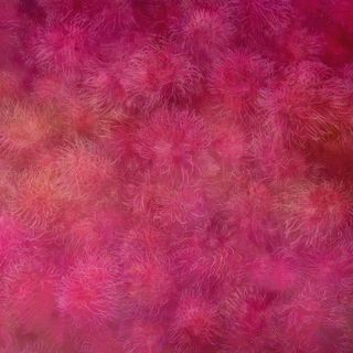 浪漫粉色花卉背景