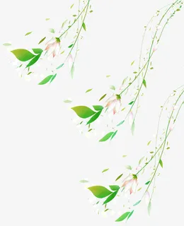 风中的柳叶免抠