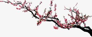 水墨梅花免抠