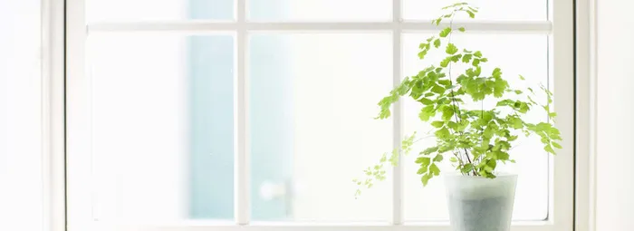 小清新背景图高清