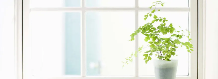 小清新背景图高清