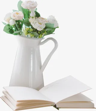 白花花瓶打开的书免抠