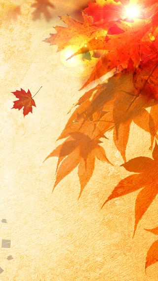 枫叶红H5背景高清