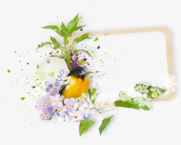 花卉边框免抠