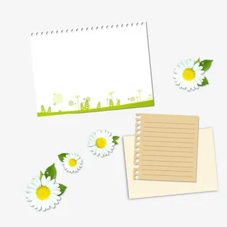 手撕纸张清新白色小雏菊免抠