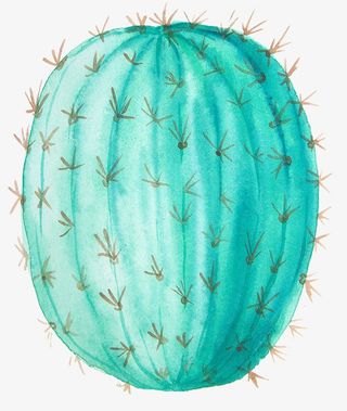 小清新插画广告设计卡通绿色盆栽免抠