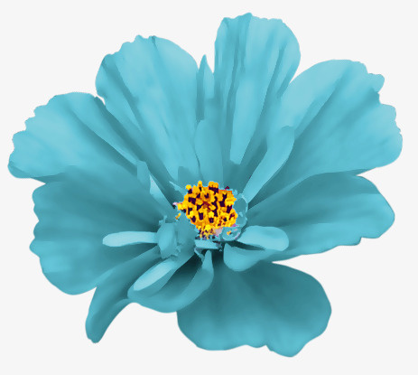花卉免抠