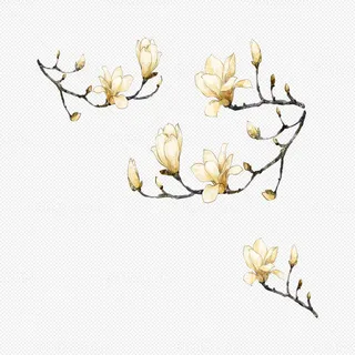 中国风古风兰花免抠