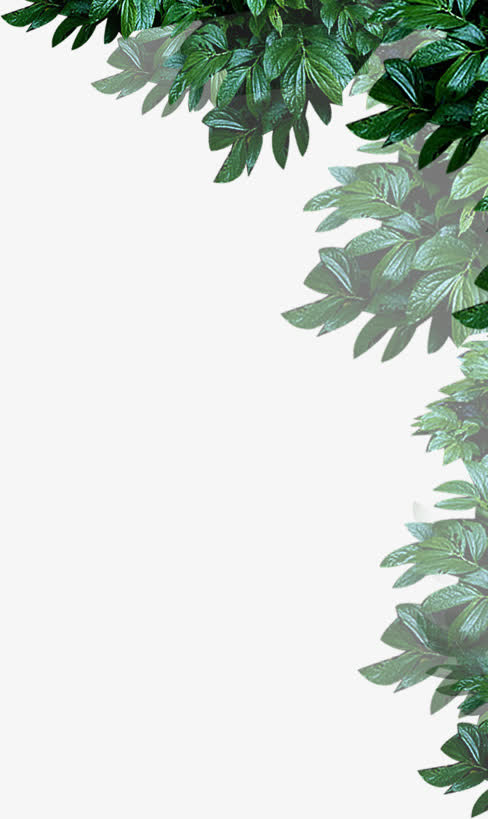 绿色春天自然大树免抠