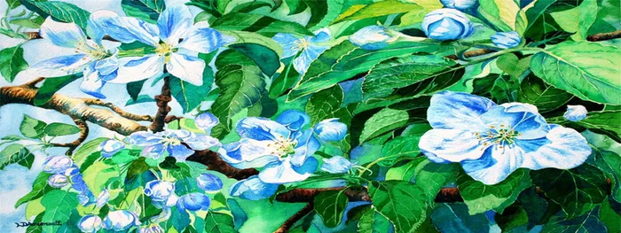 淘宝banner高清