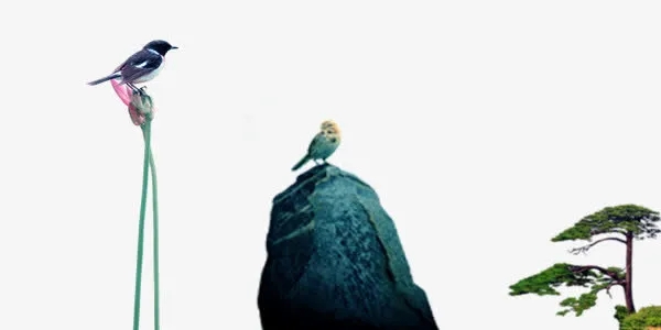 大自然动物素材免抠