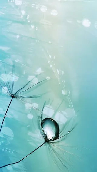 风景蓝底发光水珠树枝H5背景素材高清