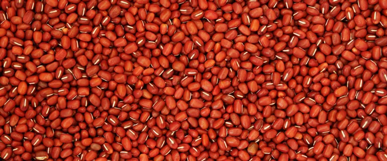 红豆背景高清