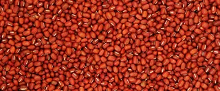 红豆背景高清