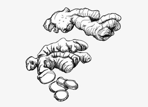 手绘生姜片免抠