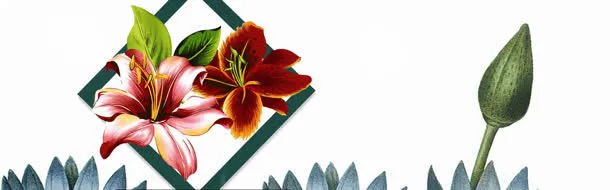 创意花朵春季海报免抠