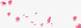 纷飞片片花瓣免抠