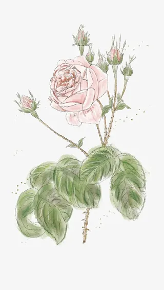 卡通红花绿叶装饰素材免抠