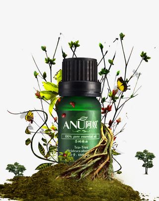 树枝精油美妆化妆品免抠