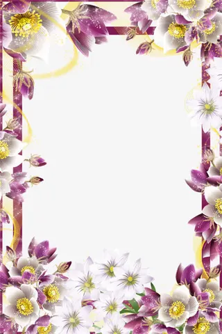 浅黄色花瓣边框PNG免抠