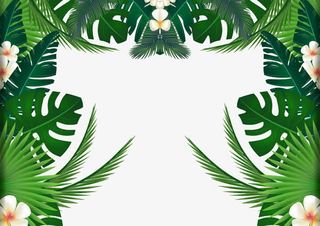 植物边框底纹免抠