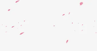 元素，漂浮元素，png素材，点缀花瓣9免抠