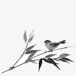 中国风国画水墨竹子小鸟免抠