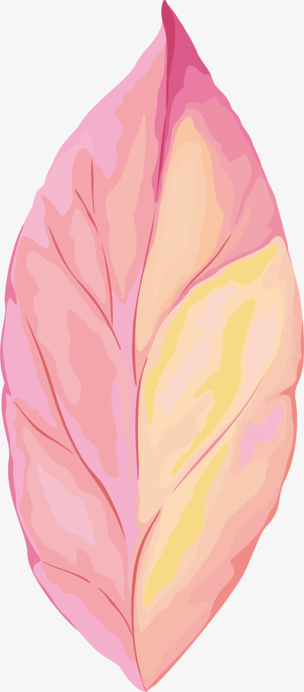 植物叶子PNG下载免抠