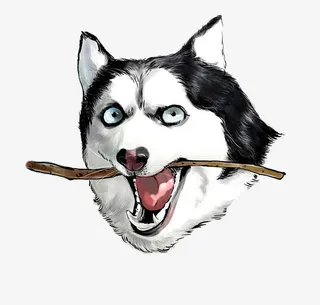 手绘哈士奇图片素材免抠