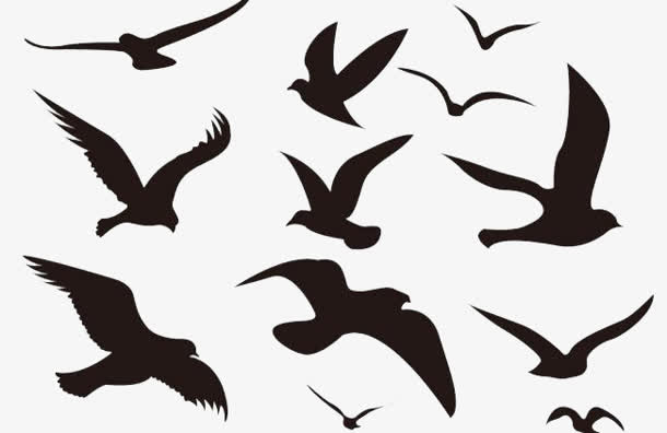 大雁格子鸟类剪影黑色免抠