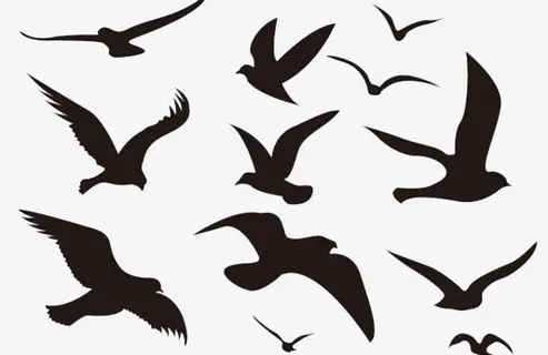 大雁格子鸟类剪影黑色免抠