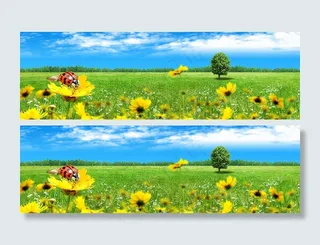 郊野草原背景高清