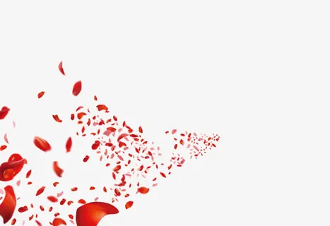 玫瑰花瓣装修页面免抠