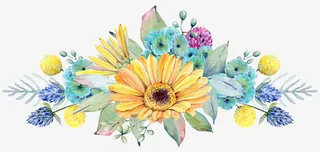手绘植物花卉花束免抠