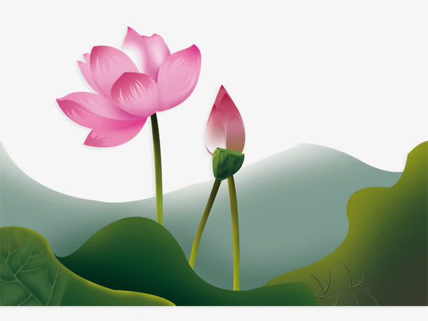 荷花免抠