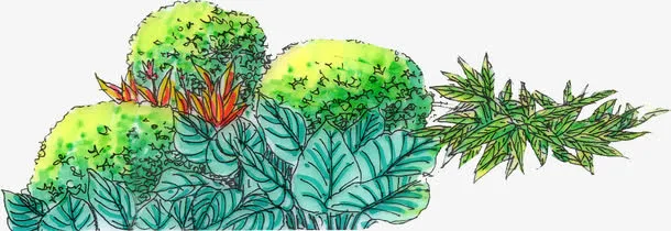 绘画园林植物艺术题材免抠