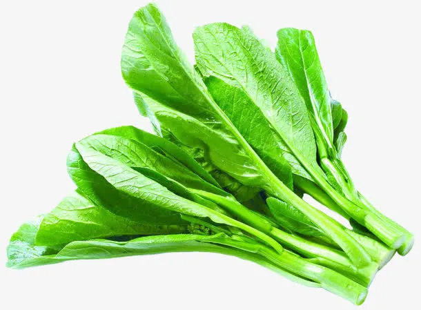 菜心蔬菜免抠
