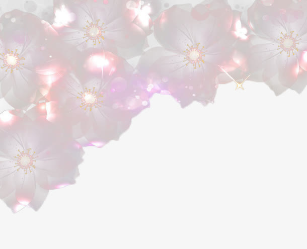 透明的花免抠