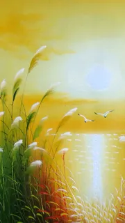 芦苇荡H5素材背景高清