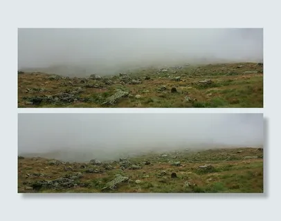 荒芜草地雾气banner高清