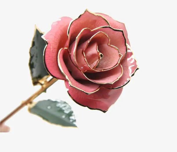 粉色玫瑰免抠