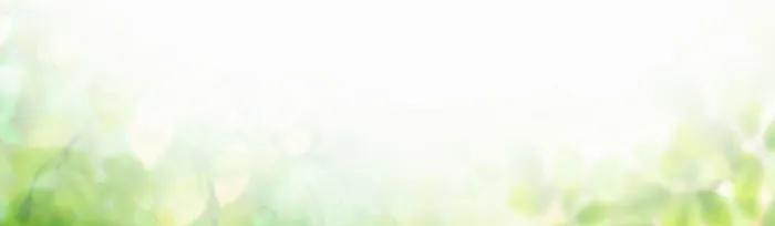 小清新绿色背景高清