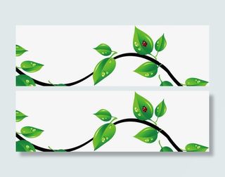 手绘绿色藤蔓免抠