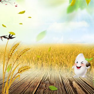 麦子稻田食品粮油米面PSD分层主图背景高清