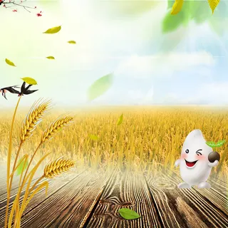 麦子稻田食品粮油米面PSD分层主图背景高清