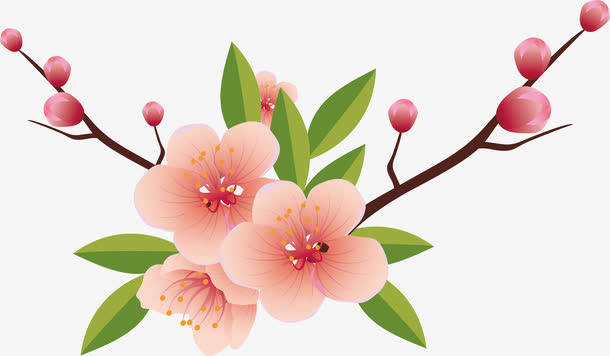 美丽杏花PNG下载免抠