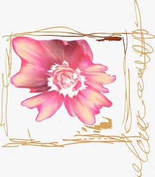 手绘黄粉色边框花纹免抠