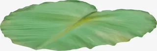绿色椭圆荷叶免抠