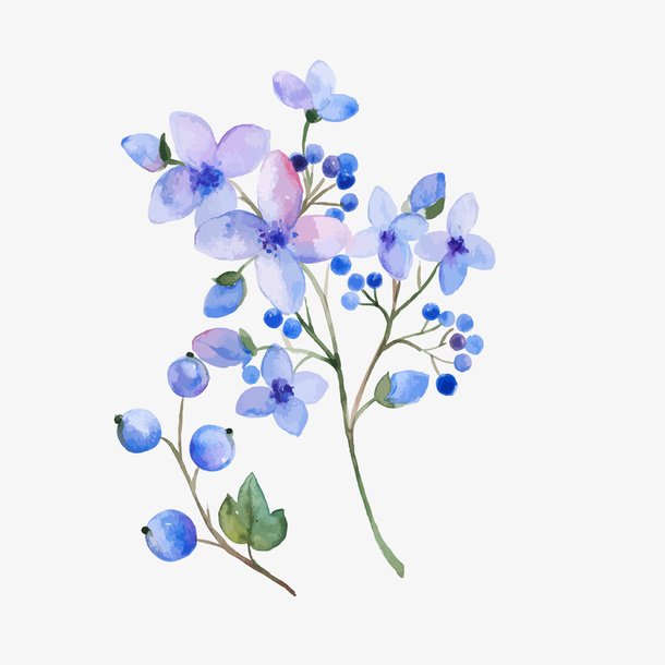 水彩风淡紫色花朵果实矢量图蛔免抠