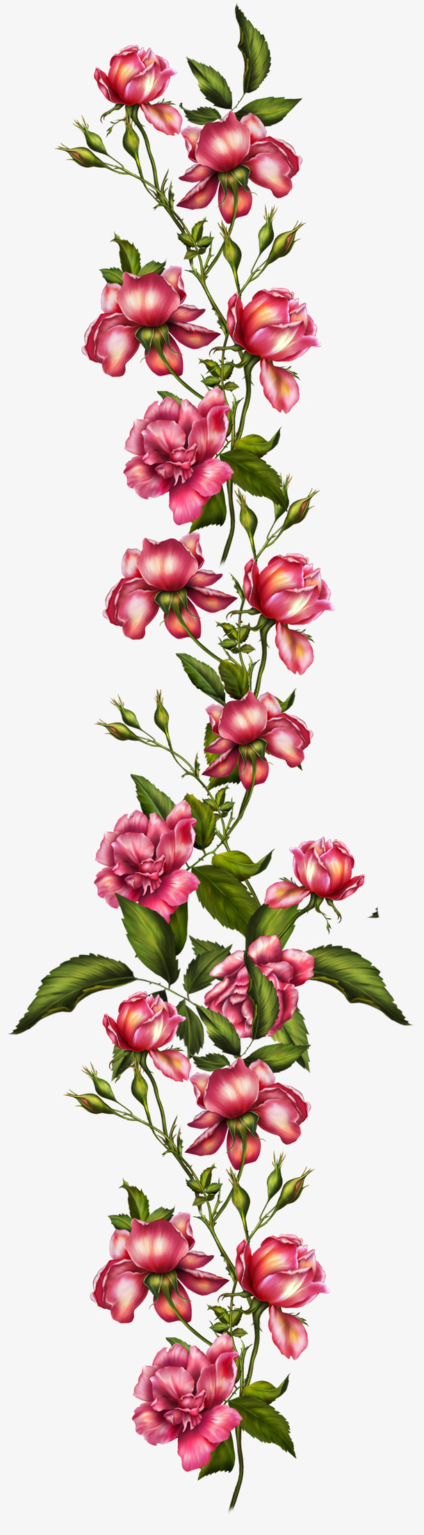 手绘水彩红色蔷薇花免抠